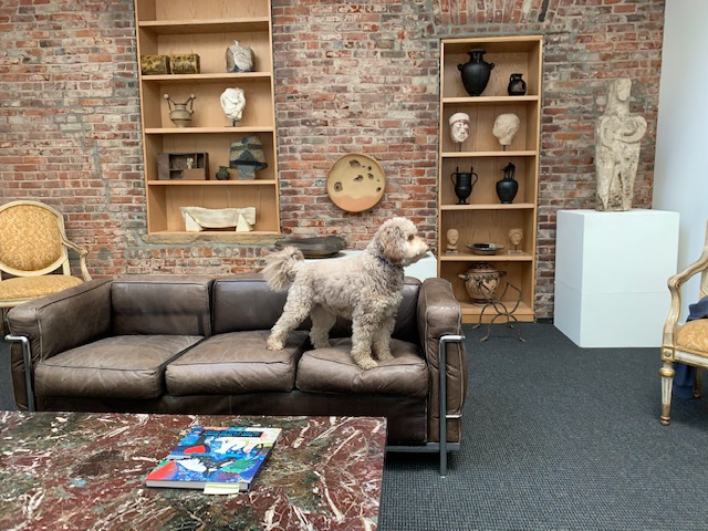 Gallery dog, Ernie